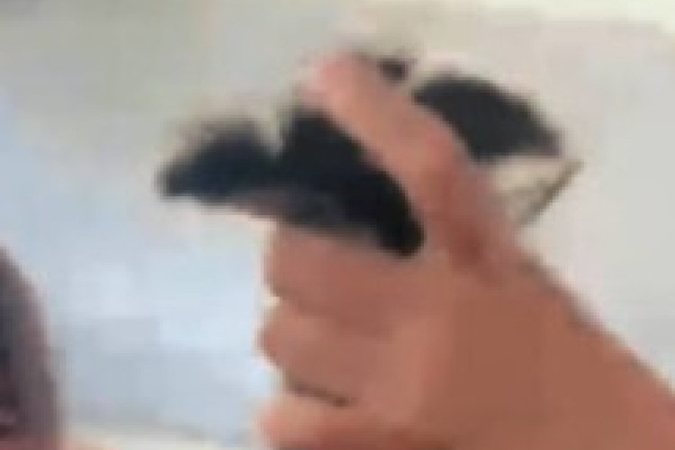 Link Video Berseragam SMK viral 'Adegan Olahraga' Bikin Warganet Geleng Kepala
