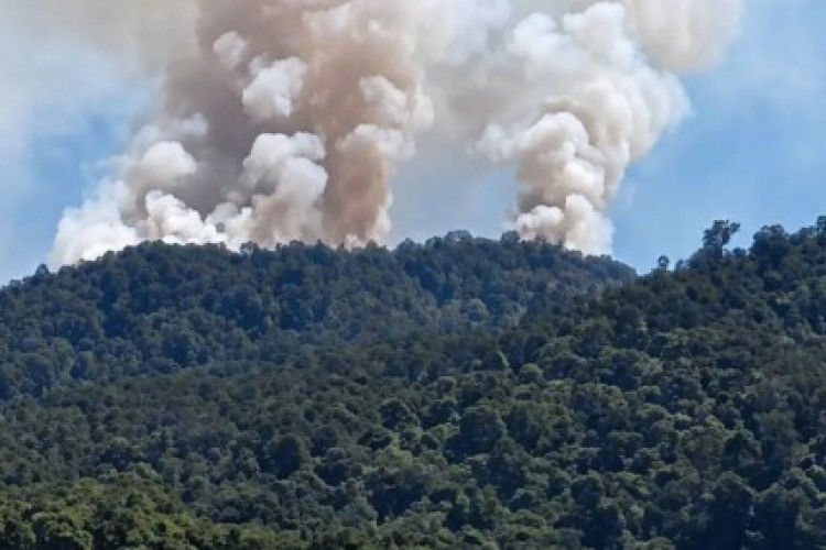 Titik Api Mengepung Pos Lima Jalur Pendakian Gunung Latimojong Enrekang Akibat Musim Kemarau Kering Yang Ekstrem 