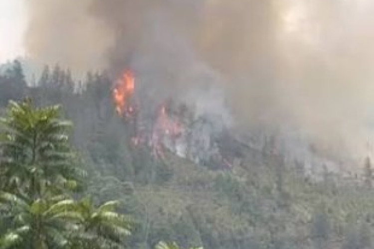 Medan Tegak Lurus Menjadi Faktor Utama Tantangan Berat Evakuasi dan Pemadaman Karhutla di Gunung Latimojong Kabupaten Enrekang