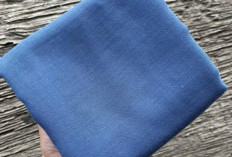 Video Kerudung Biru di Mobil Viral Bikin Heboh Netizen Jagat Maya! Rekaman Amatir ini Sedang Banyak Dicari Kebenarannya