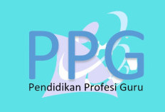 Informasi PPG Daljab Terbaru Agustus 2026: Cara Cek, Tahapan, Jadwal Pembukaan Hingga Tahap Terakhir, Wajib Cek Di Sini!