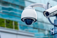 Video Kepsek dan Guru SD di Pekolangan Berhasil Keciduk CCTV, Lakukan Aksi Mesum di Ruang Guru!