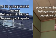 VIRAL! Link Video Ayam Geprek Apato Jepang Durasi 19 Menit, Ternyata Ini Fakta Aslinya