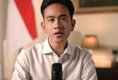 Tak Temukan Ijazah SMA Gibran, Putusan MK Tetap Tak Bisa Mendiskualifikasi Wakil Presiden