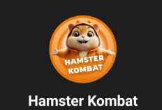 Bocoran Daily Cipher Hamster Kombat Code 20 September 2026, Klaim Sekarang! Menangin Banyak Hadiah Hingga Jutaan Koin