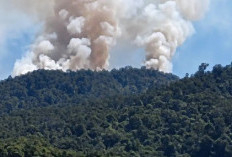 Titik Api Mengepung Pos Lima Jalur Pendakian Gunung Latimojong Enrekang Akibat Musim Kemarau Kering Yang Ekstrem 