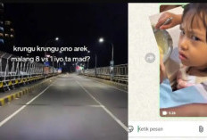 Link Video Malang 8 Vs 1 yang Asli Viral X dan Telegram, Tampilkan Adegan Tak Senonoh Bikin Gagal Fokus!