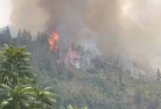 Medan Tegak Lurus Menjadi Faktor Utama Tantangan Berat Evakuasi dan Pemadaman Karhutla di Gunung Latimojong Kabupaten Enrekang