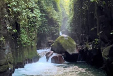 Sejoli Mesum di Cuhup Pendahatan Lahat Sumatera Selatan Viral, Identitas Pemeran Video Berikan Klarifkasi!